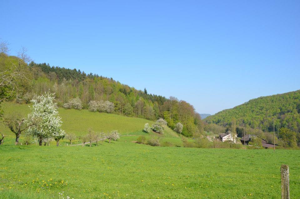 Hotel Bad Schauenburg Liestal Zewnętrze zdjęcie