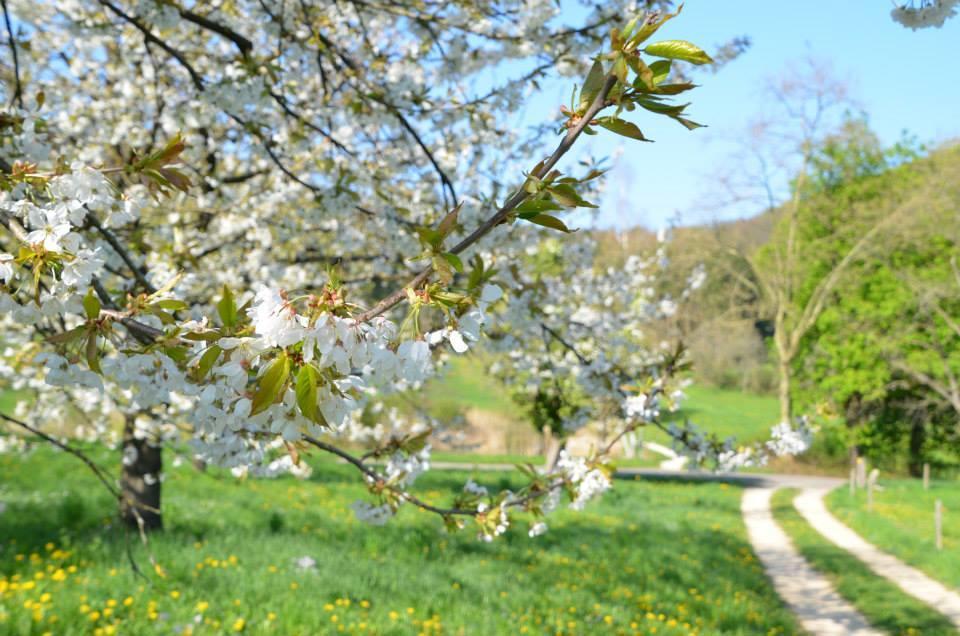 Hotel Bad Schauenburg Liestal Zewnętrze zdjęcie