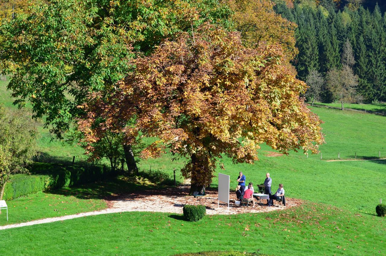 Hotel Bad Schauenburg Liestal Zewnętrze zdjęcie
