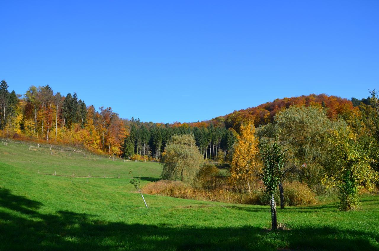 Hotel Bad Schauenburg Liestal Zewnętrze zdjęcie