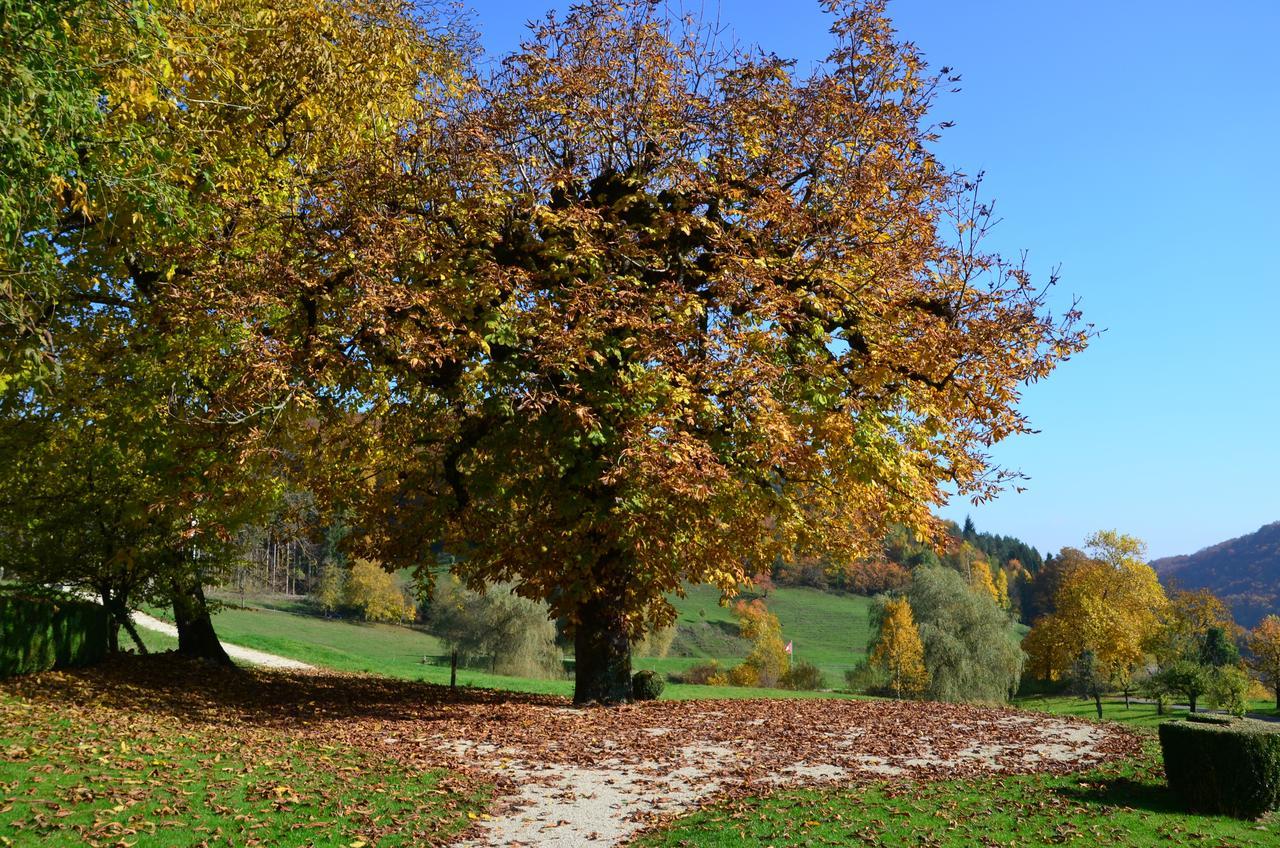 Hotel Bad Schauenburg Liestal Zewnętrze zdjęcie